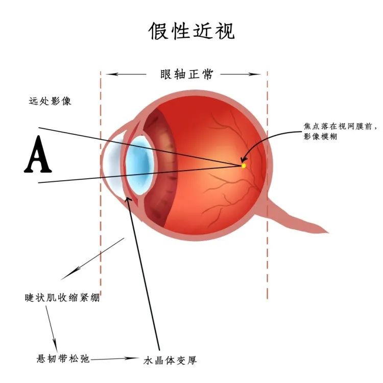 微信图片_20230410082604.jpg