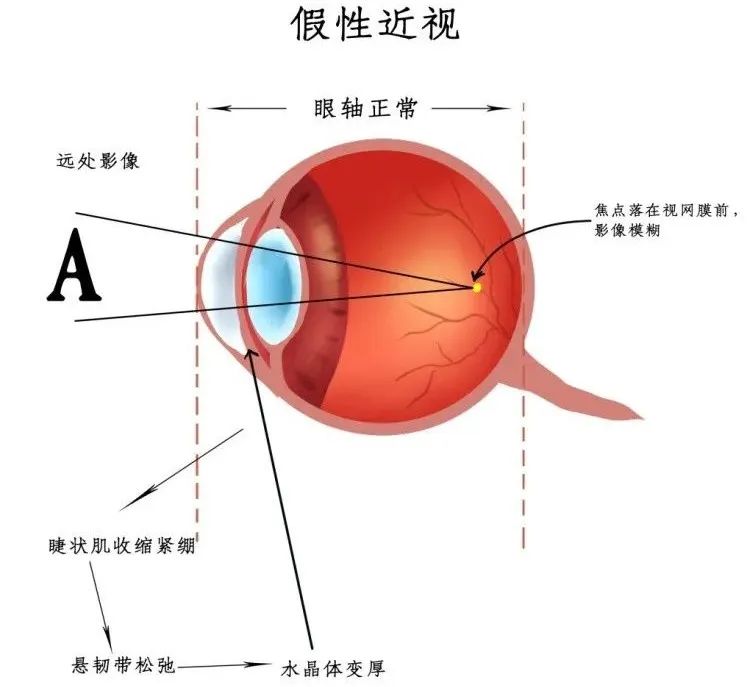 微信图片_20230412082035.jpg